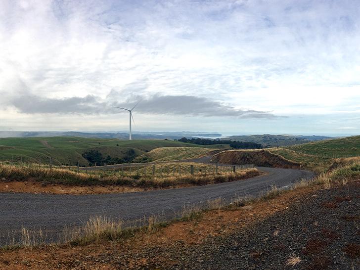 Students tour a wind farm in New Zealand during a recent study abroad trip that focused on the island nation's renewable energy practices.