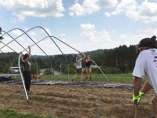 Students lift a large, curved metal pole into place over garden.