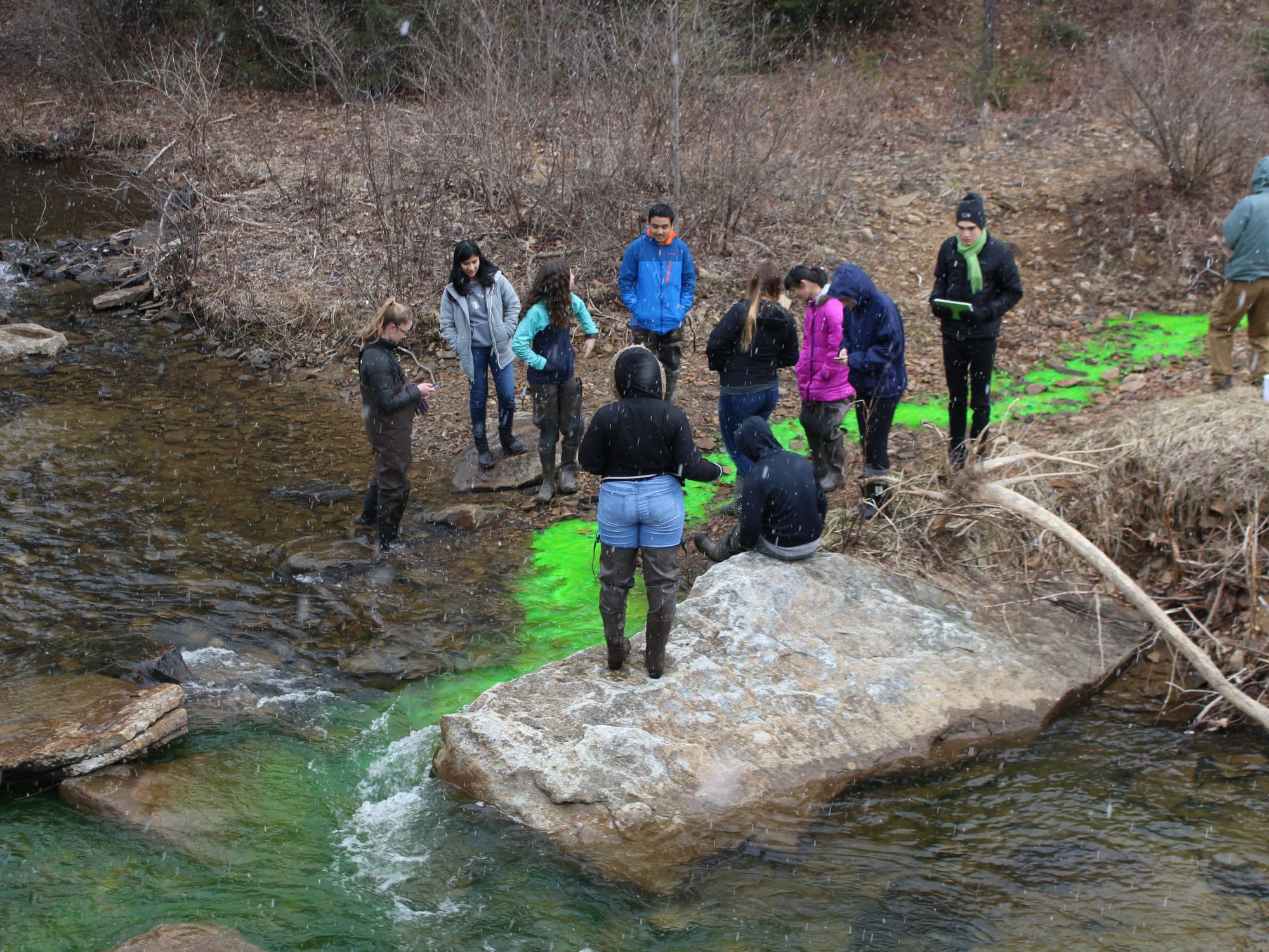 Local high school students watch dye turn water bright green during a mock spill event at Black Moshannon Creek