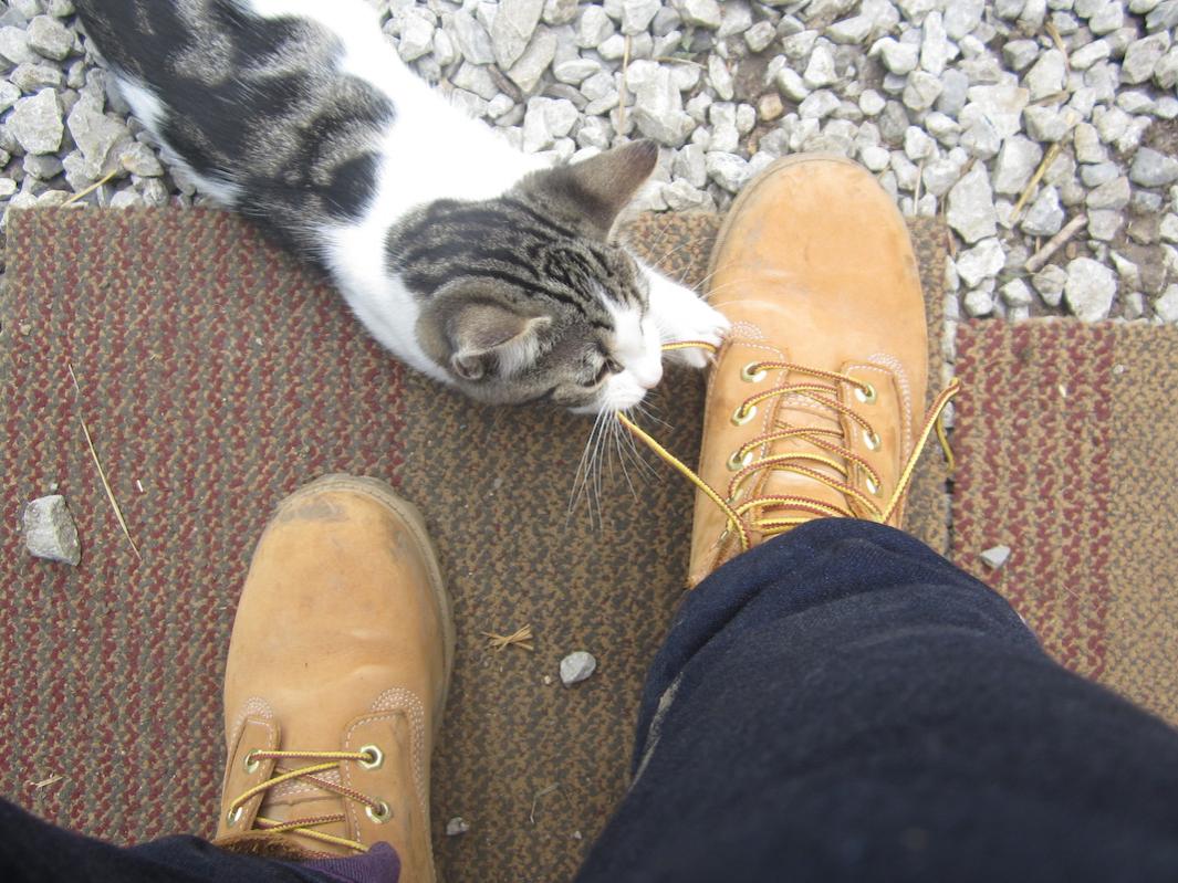 Lily McCullough with a cat