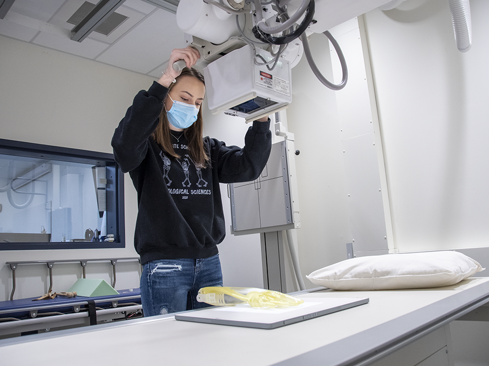 Student wearing a black sweatshirt and surgical mask while operating a digitized radiographic unit