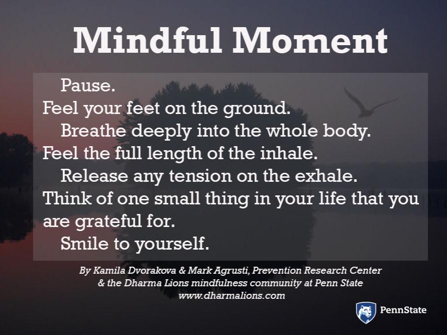 Mindful Moment: Pause. Feel your feet on the ground. Breathe deeply into the whole body. Feel the full length of the inhale. Release any tension on the exhale. Think of one small thing in your life that you are grateful for. Smile to yourself.