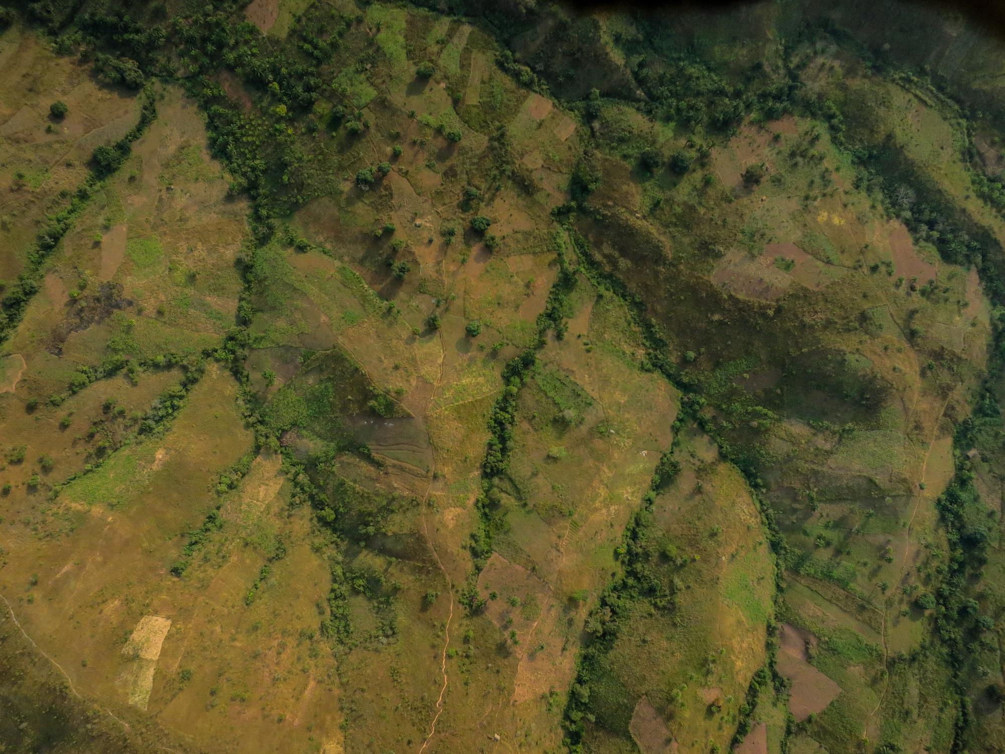 farmland in Tanzania