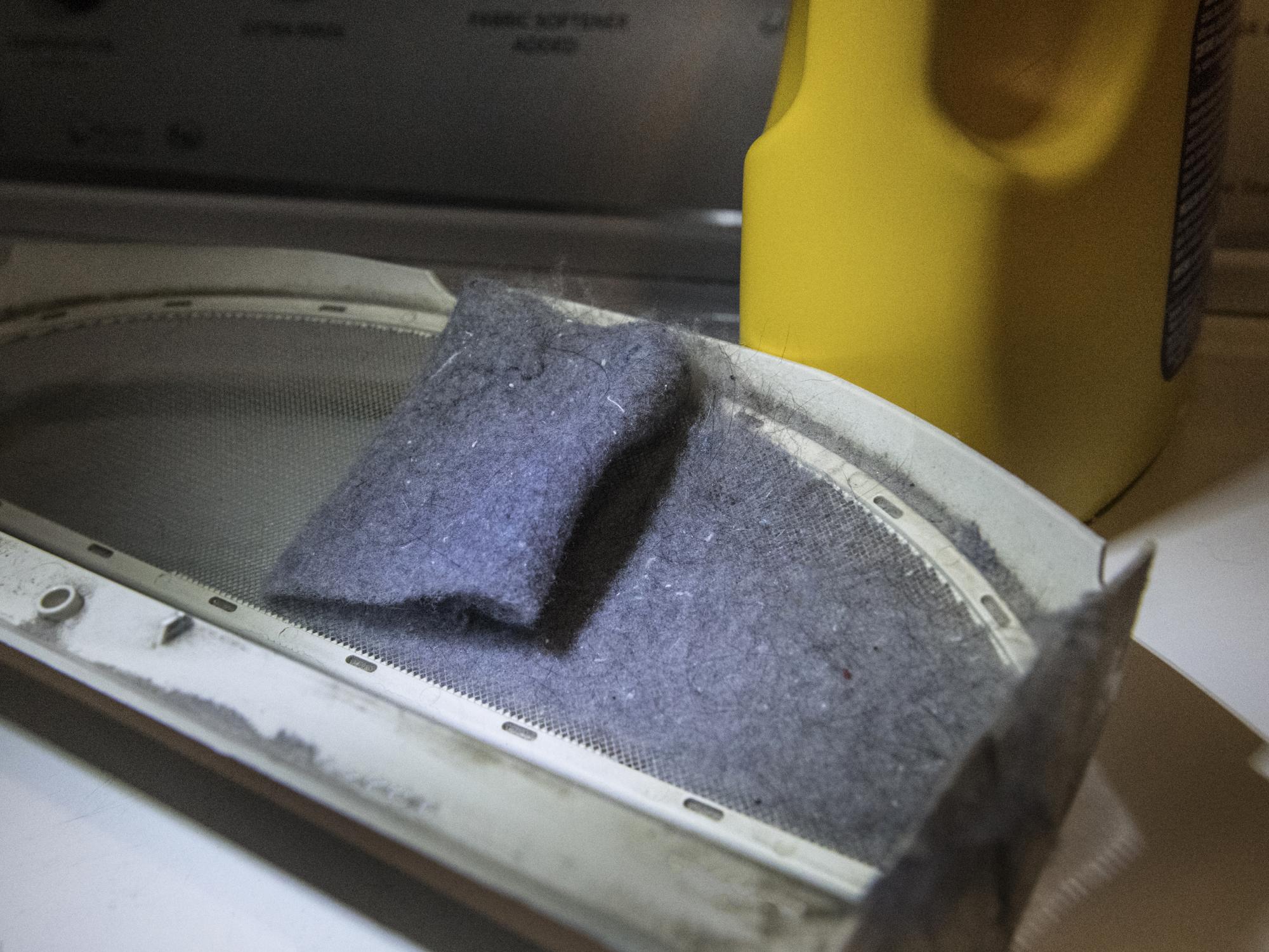 lint in dryer lint trap