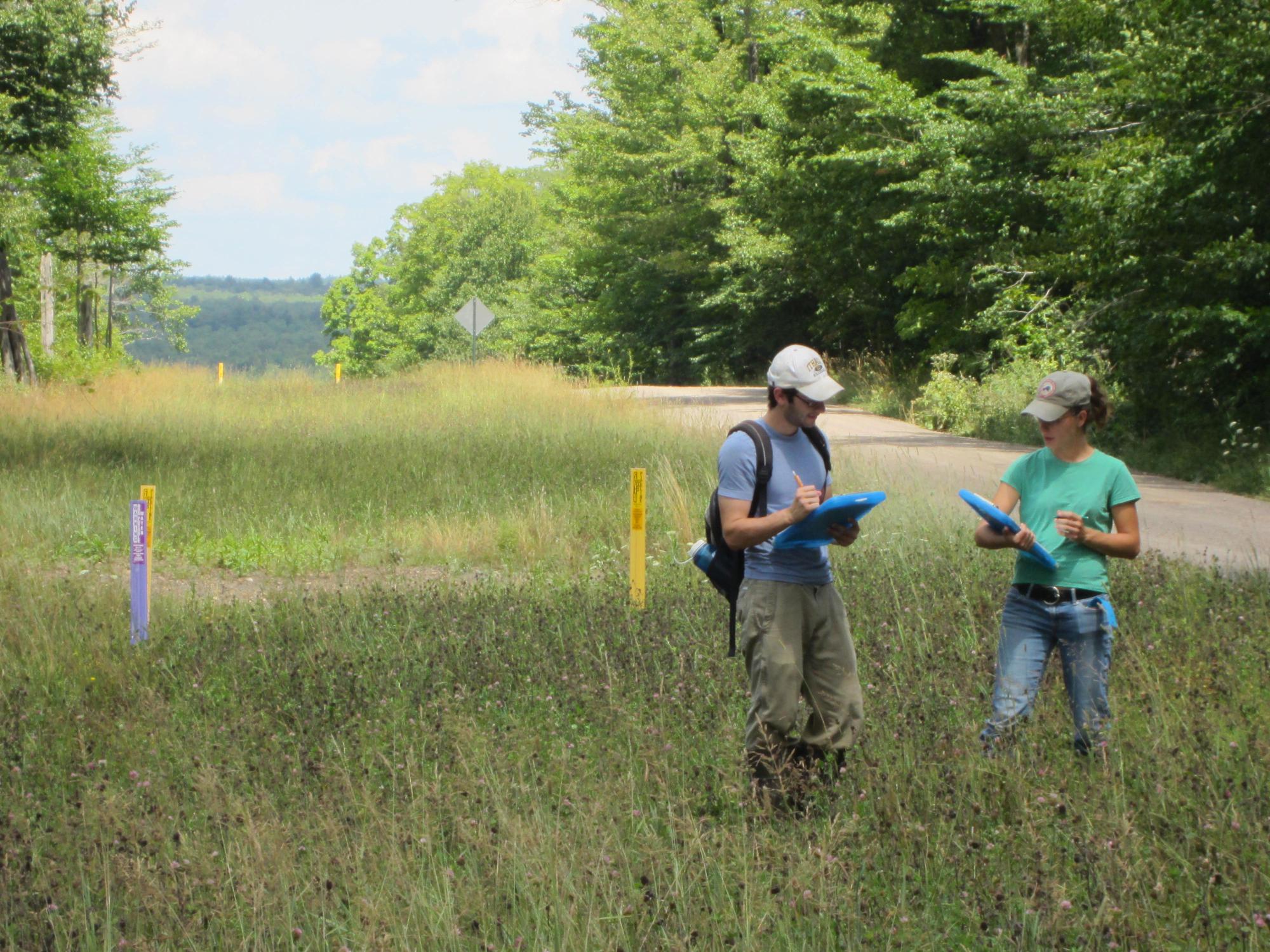 Graduate student Lillie Langlois and field assistant Stephen Brenner working on a natural gas pipeline.