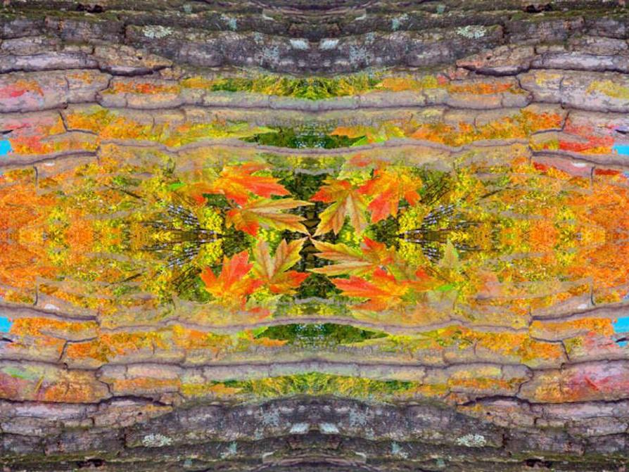 fall leaves and tree trunk