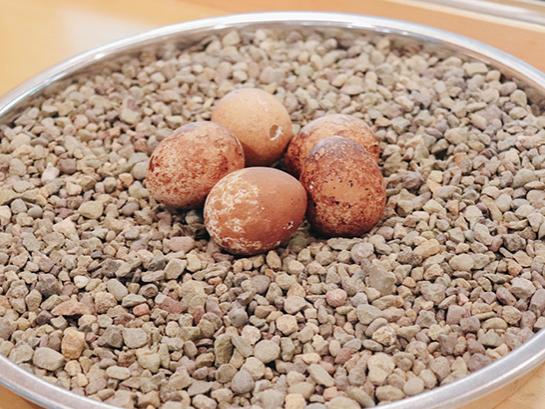 Three eggs laying on a bed of stones