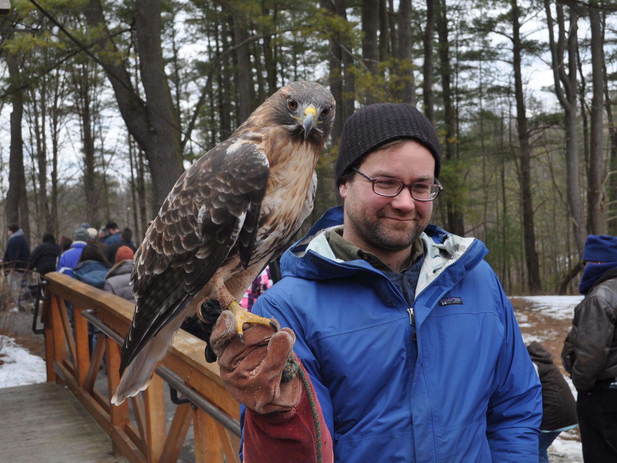 Maple Harvest Festival Birds of Prey