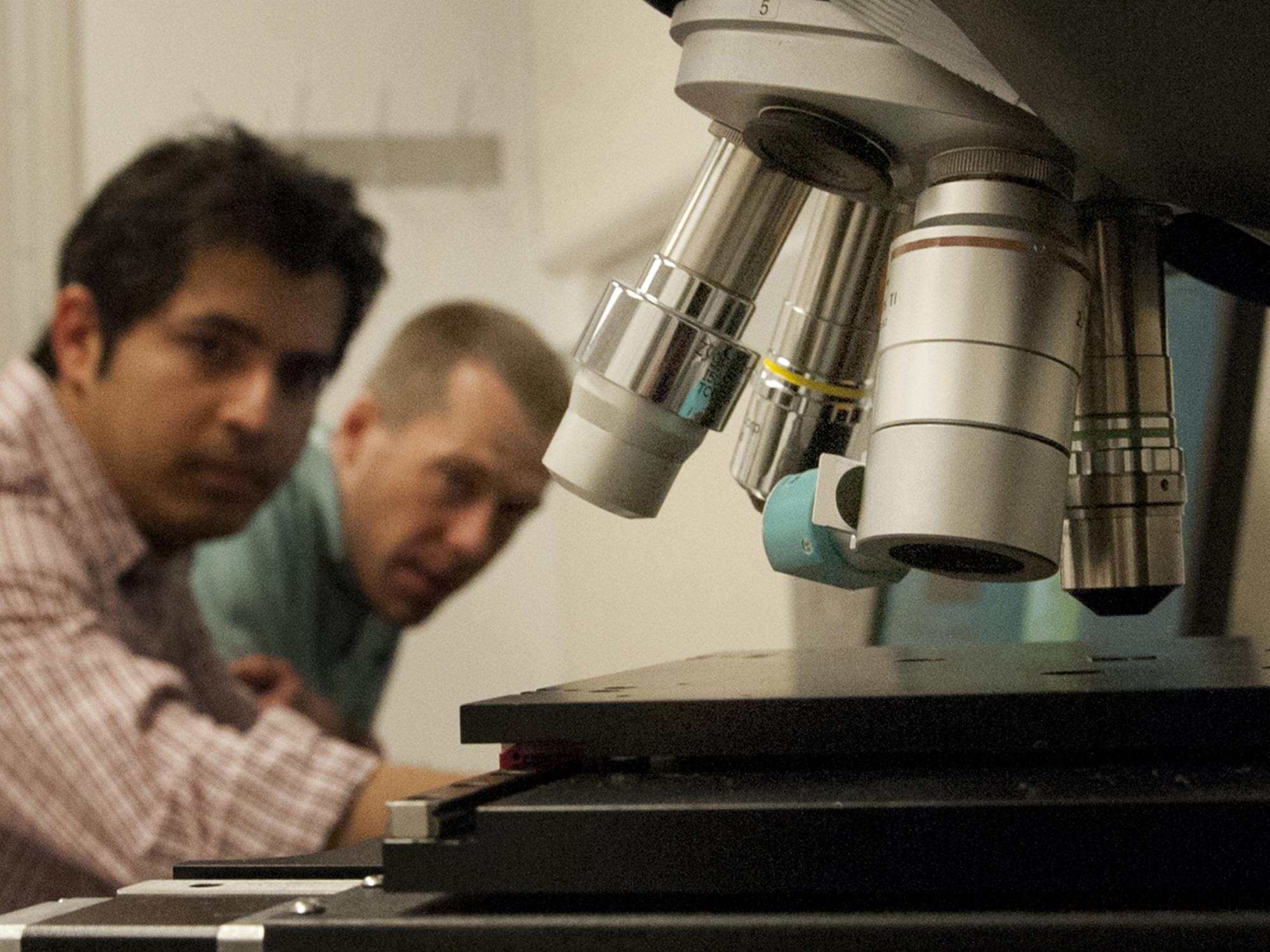 Research associates collaborating at microscope