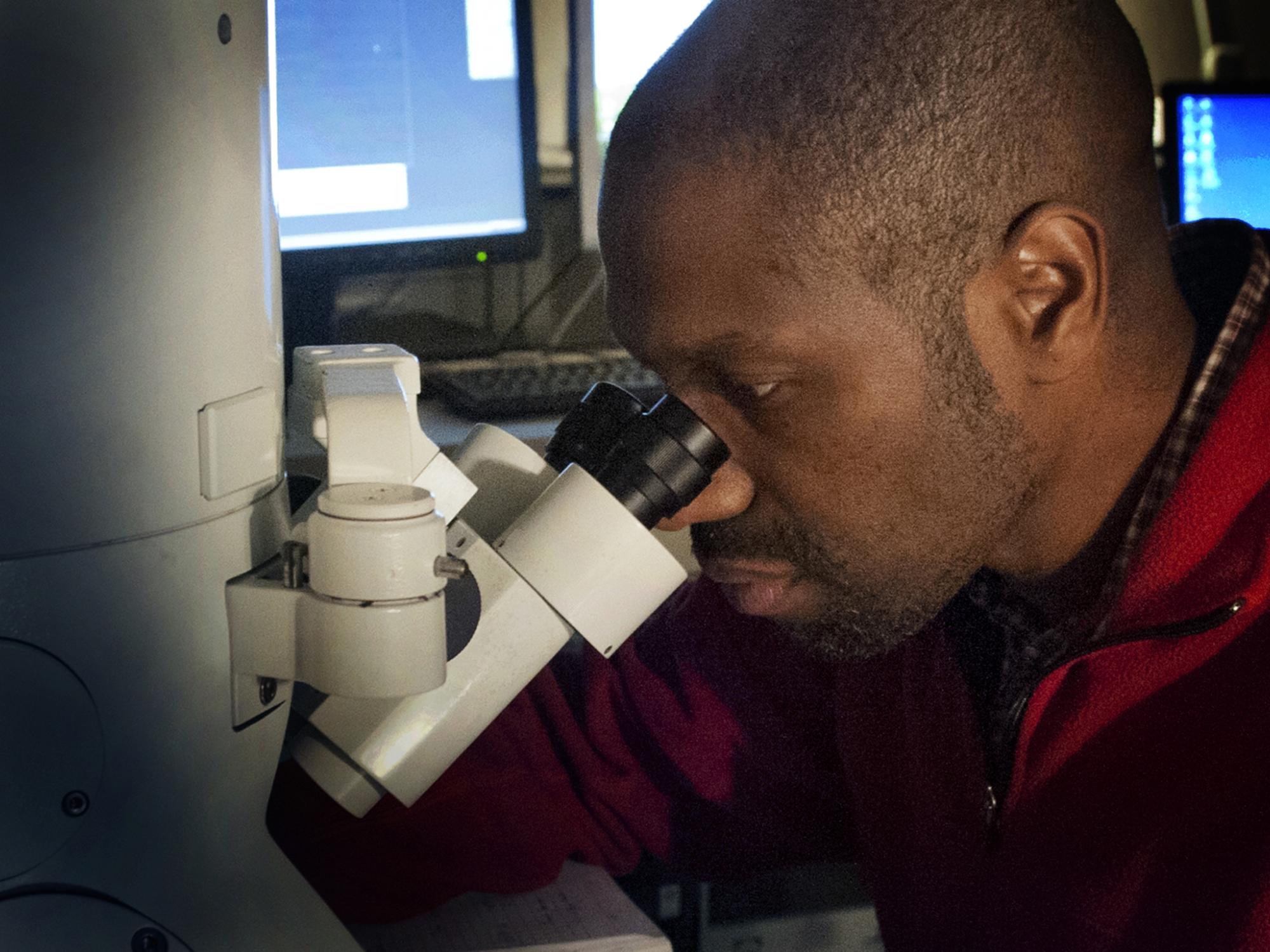 Electron microscopist studying a sample