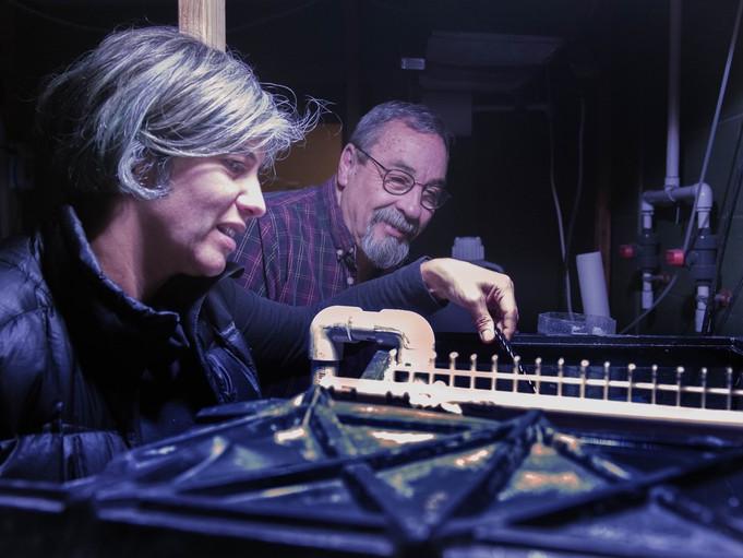 Medina and Iglesias Prieto
