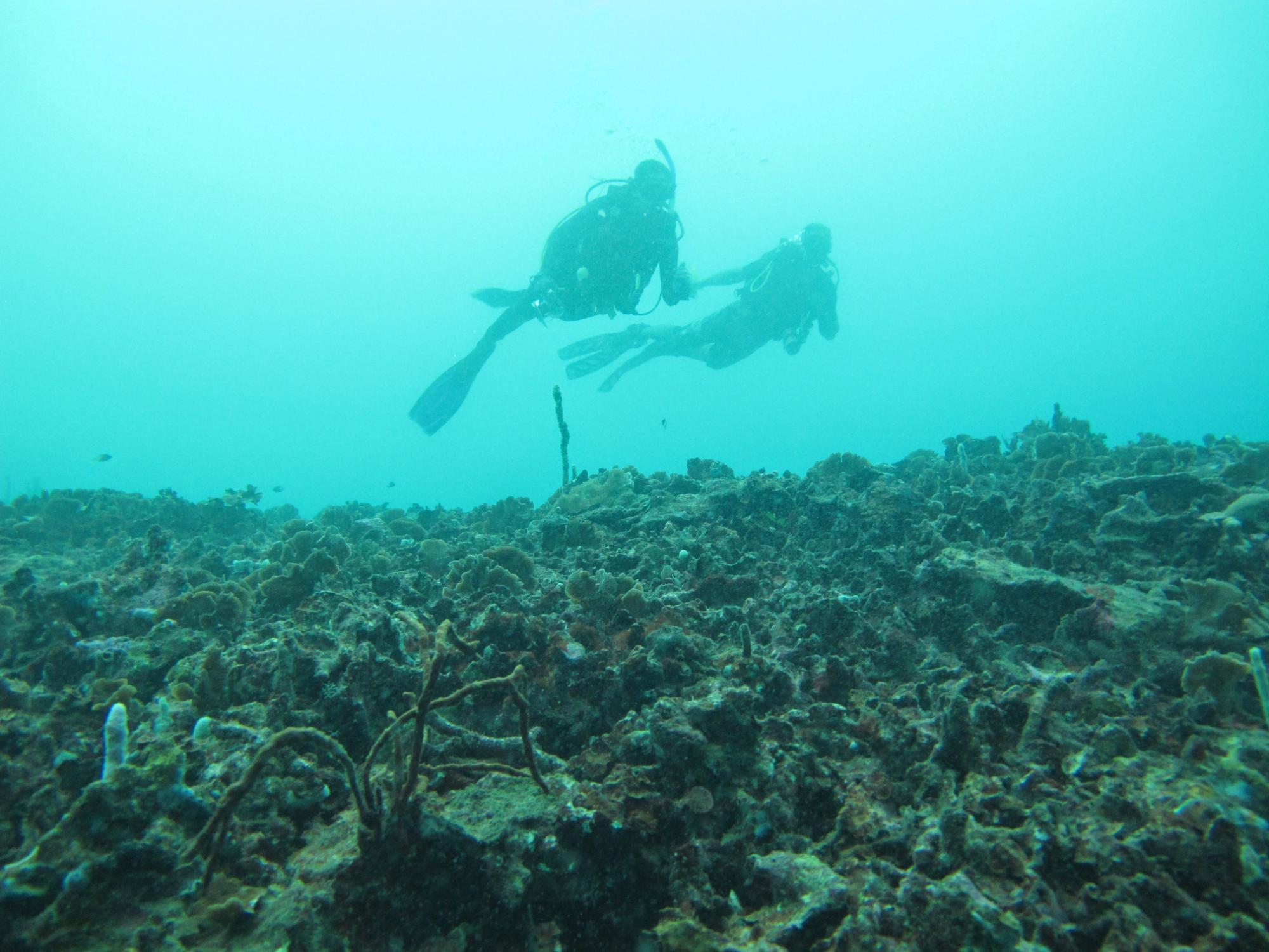 Varadero divers