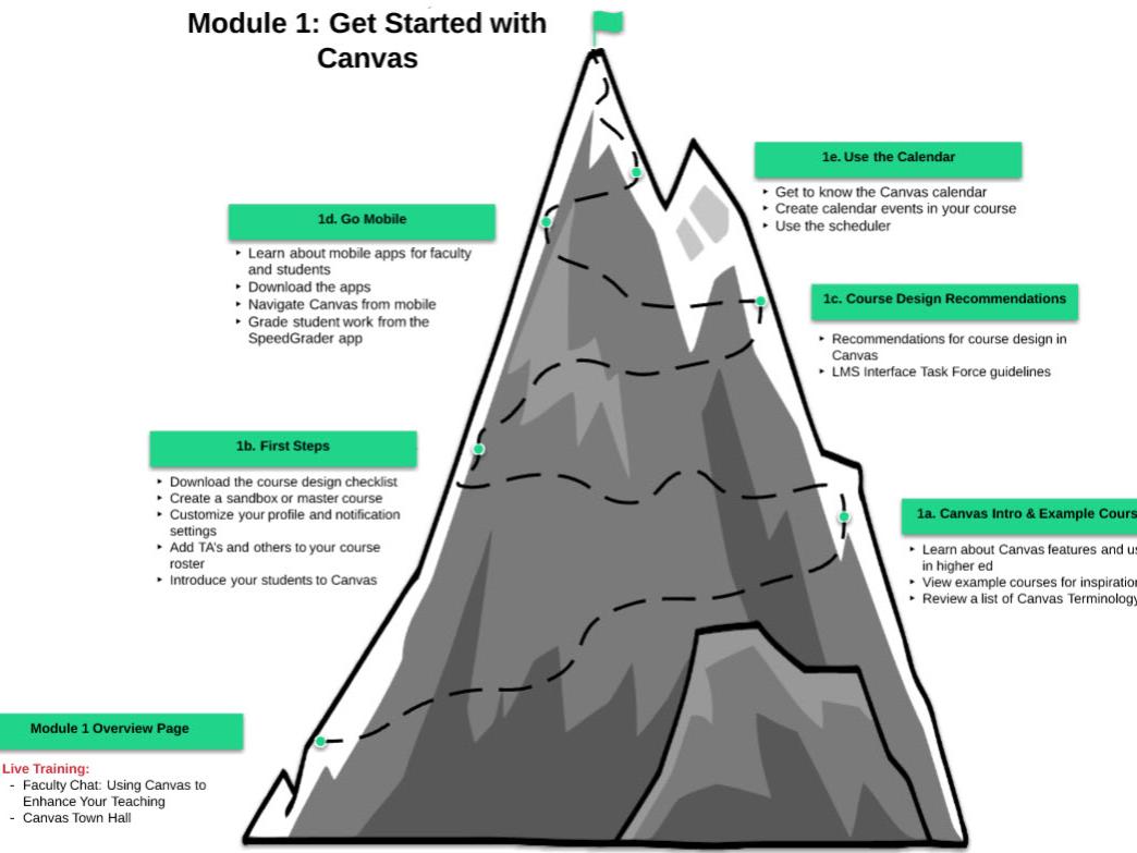 A screenshot of a graphic breaking down parts of a Learning Paths module. 