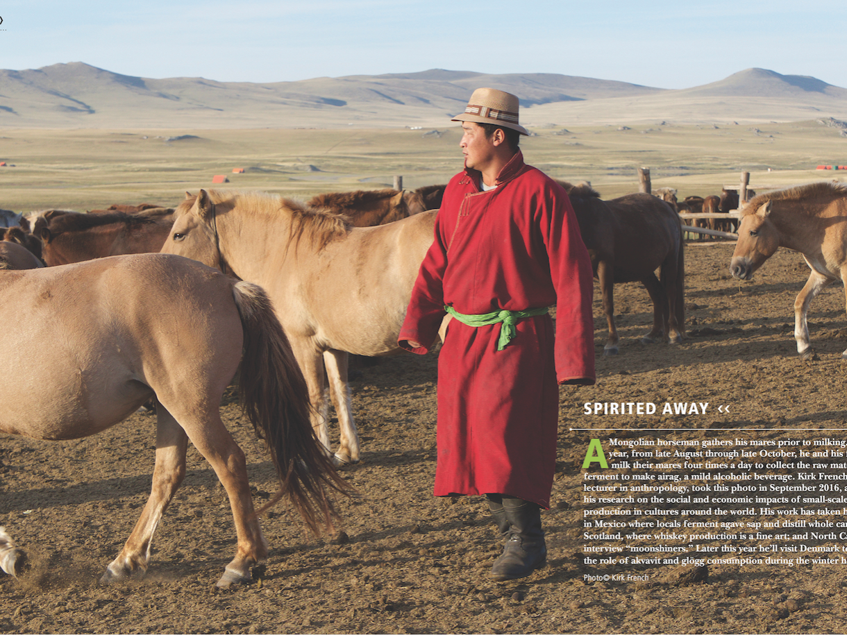 Mongolian horseman with his herd