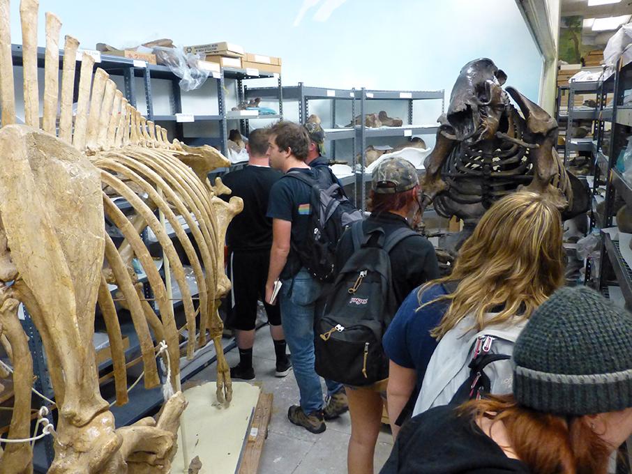 At the Denver Museum of Nature and Science, geosciences students tour research wings, getting looks at massive dinosaur fossils, large sea creatures and mastodons usually reserved only for researchers.