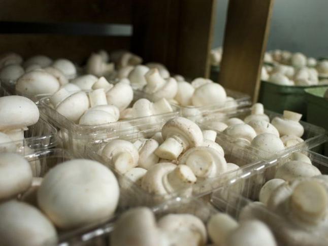 Mushrooms in Cellar Market
