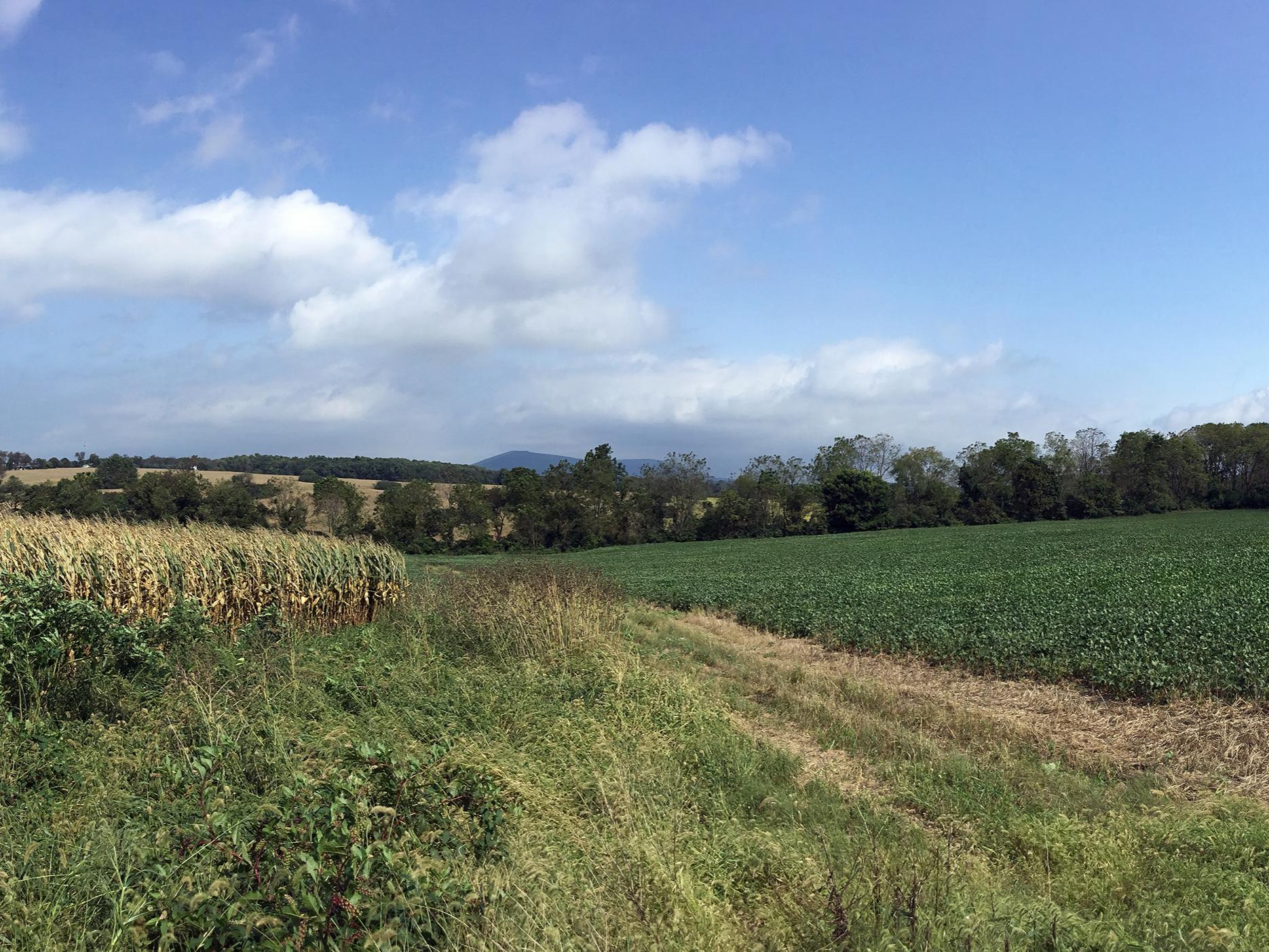 Panorama of Musser Gap with corn and soybean farms