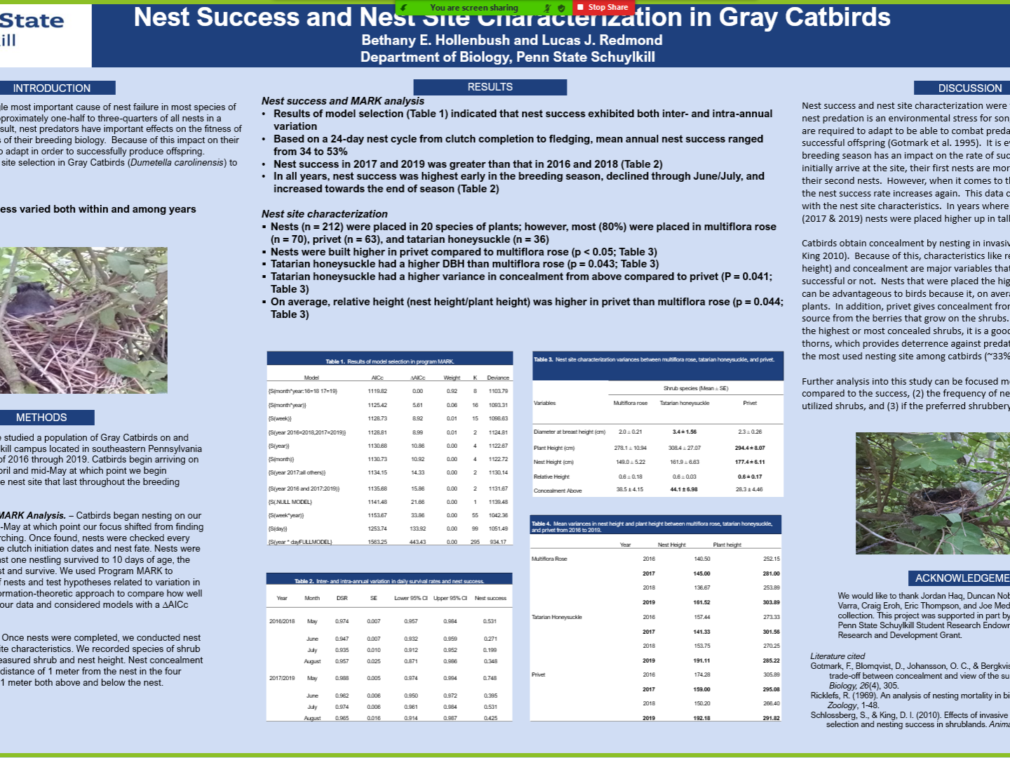 Academic research poster titled "Nest Success and Nest Site Characterization in Gray Catbirds"