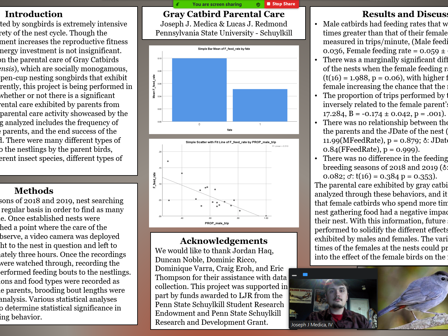 Screen shot of "Gray Catbird Parental Care" research poster