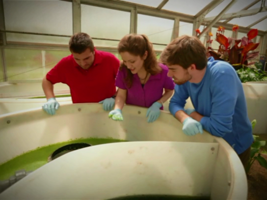 Rachel Brennan and her students look into a vat in the Eco-Machine