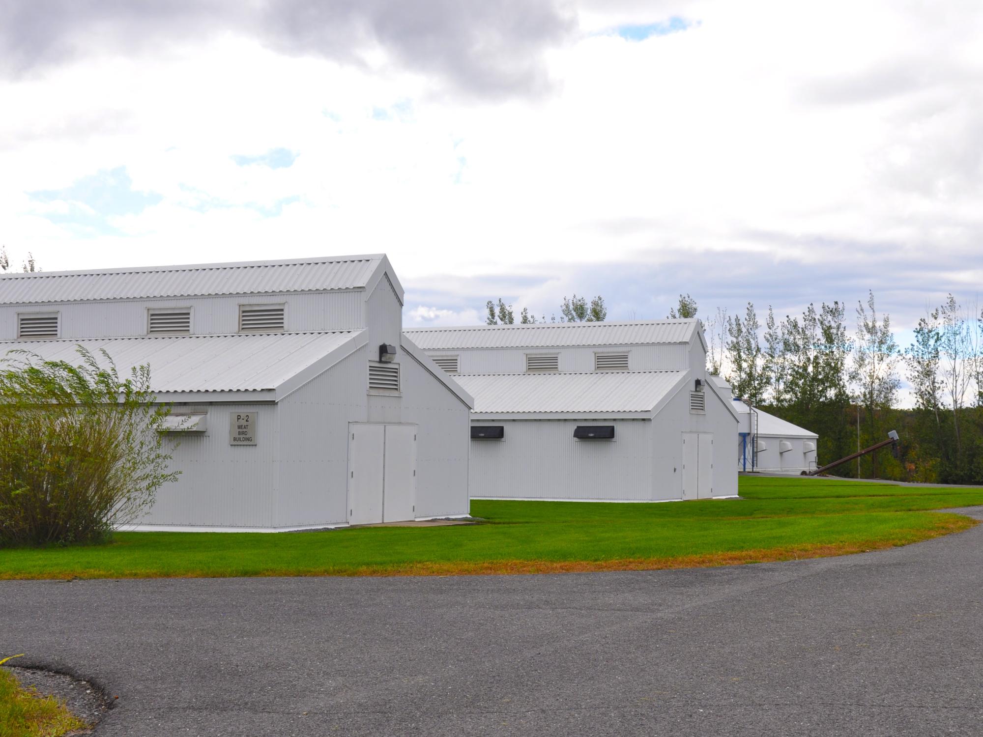 Poultry houses at the Poultry Education and Research Center