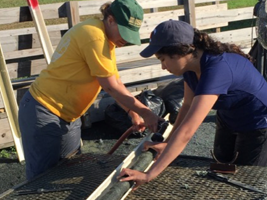 washing core sample