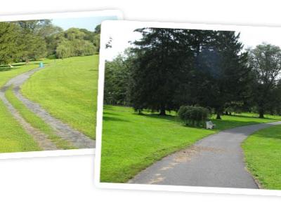 path before and after renovation