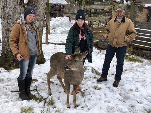 Deer and students at Penn State