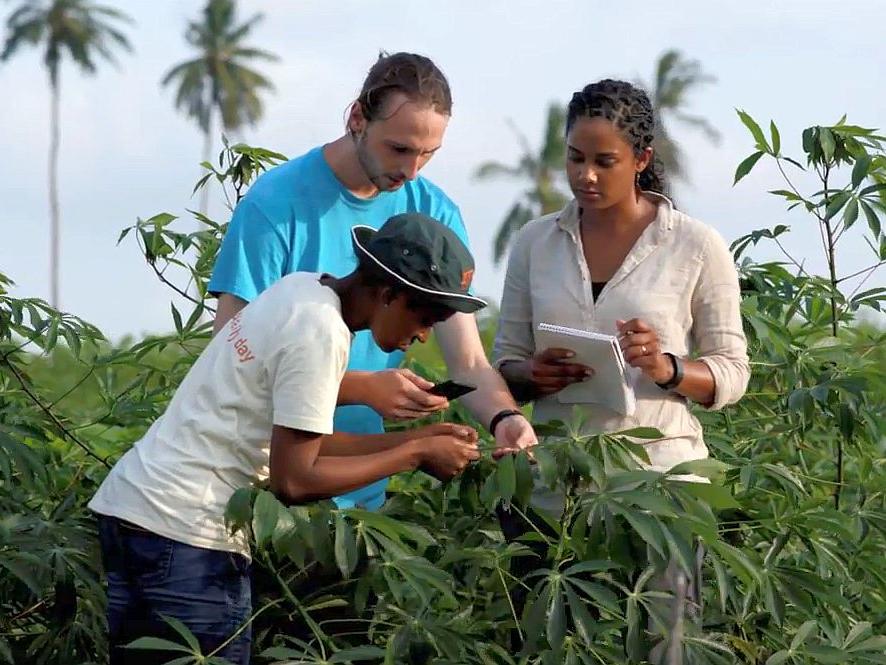 PlantVillage team members in Tanzania