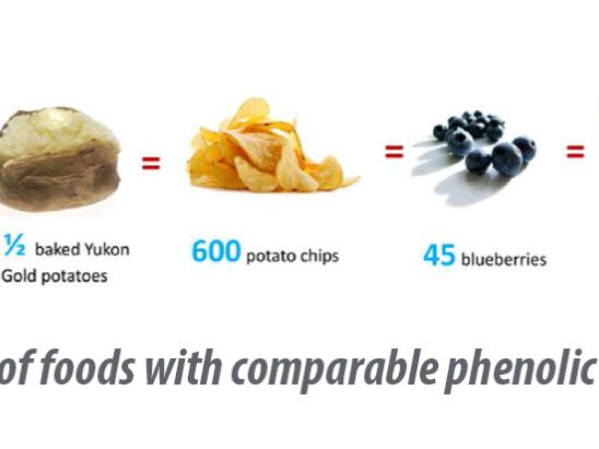 Phenolic properties food graphic