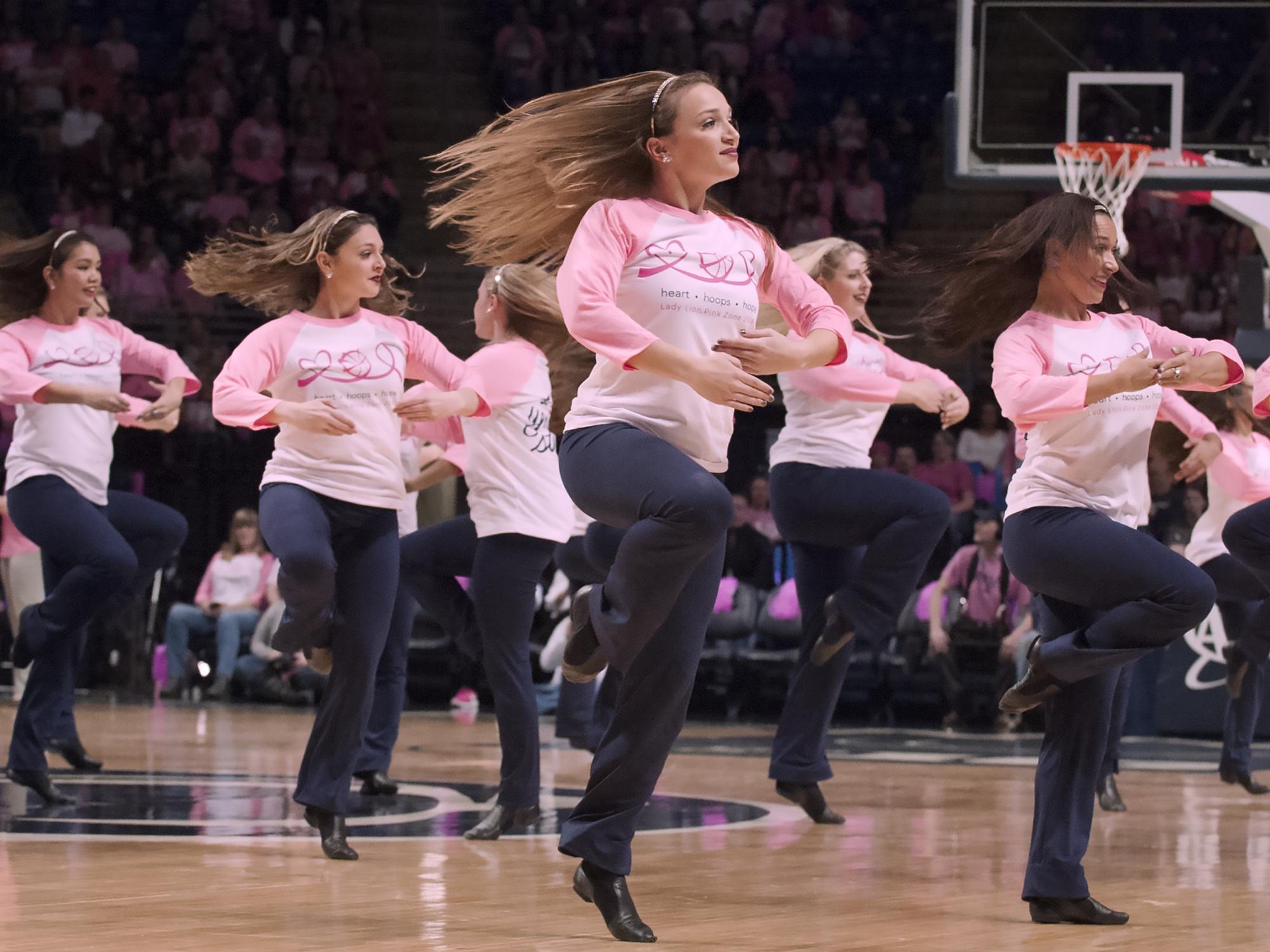 Lionettes Pink Zone Game