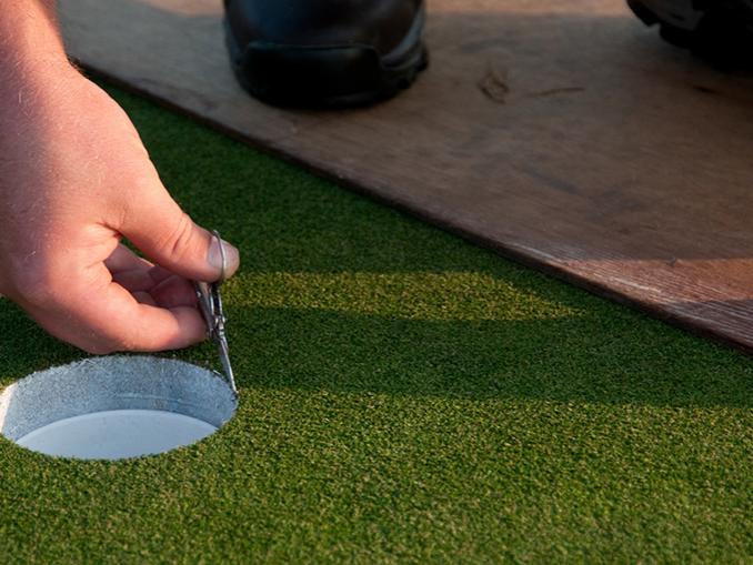 manicuring Poa