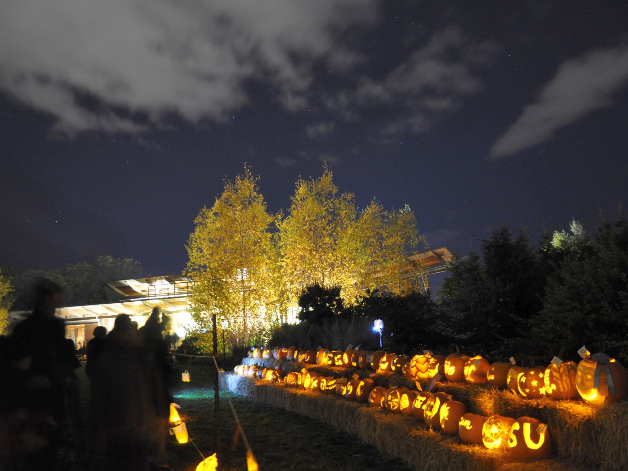 Pumpkin Fest 2015 jack-o-lanterns and night sky