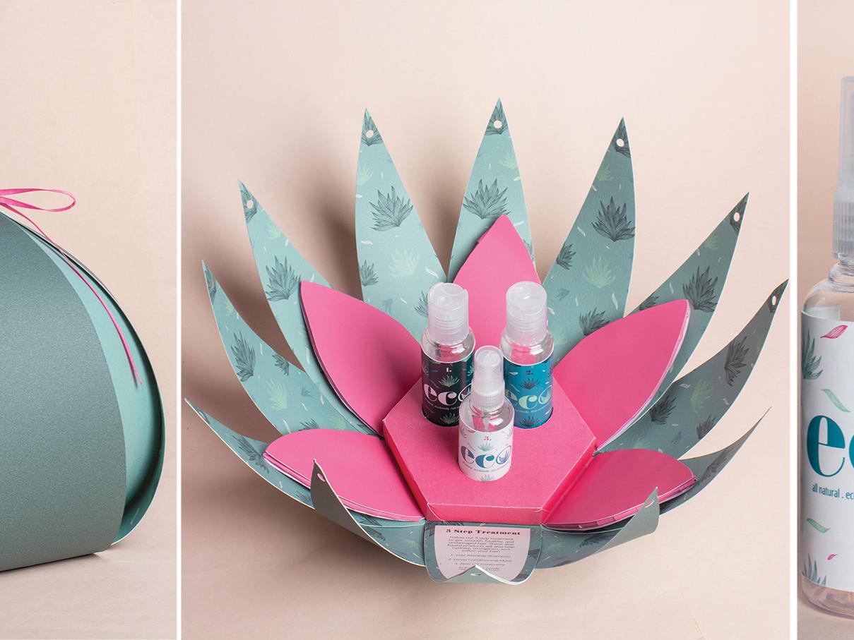 Three views of Kylie Radick's Eco packaging project.