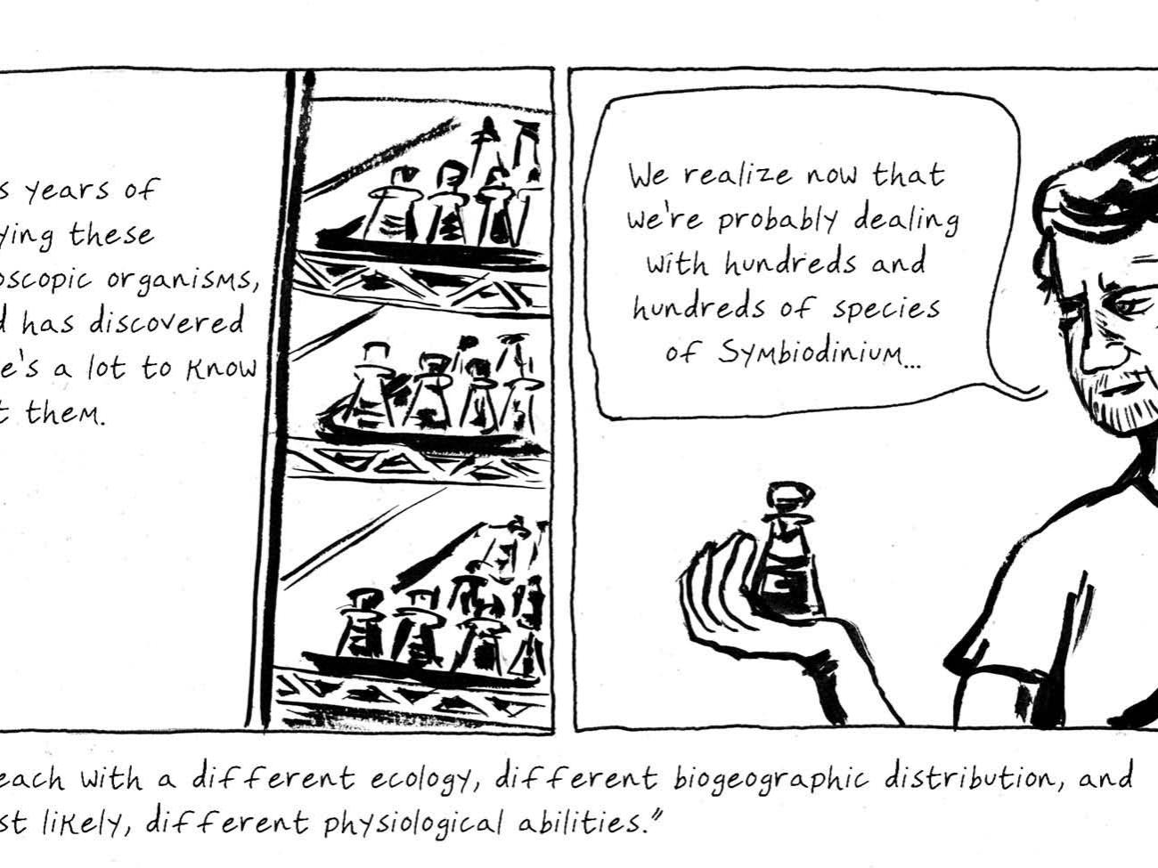 todd lajeunesse cartoon