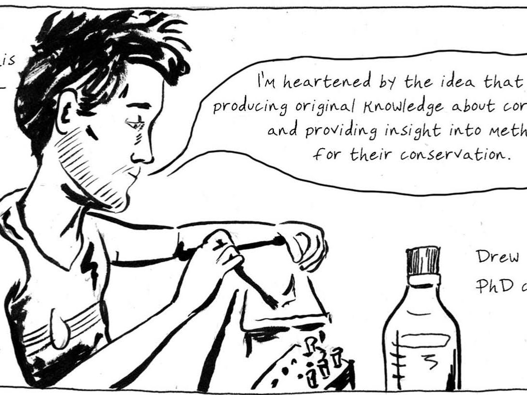 coral reef cartoon with male student