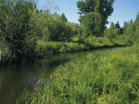 stream photo