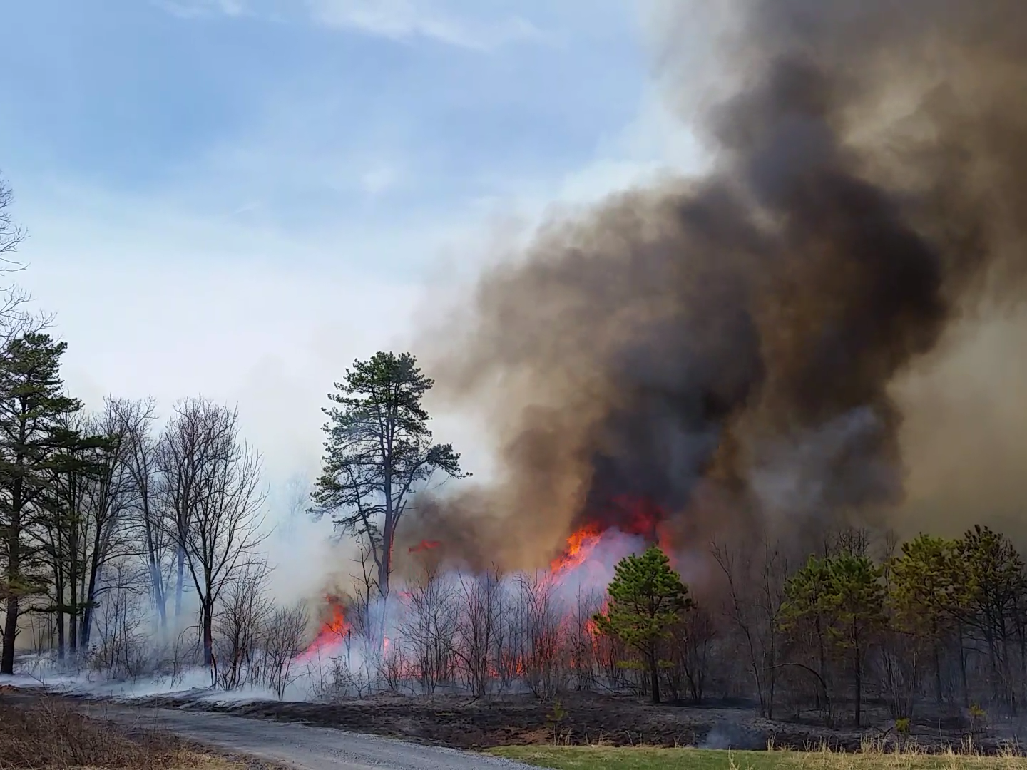 Prescribed fire at Fort Indiantown Gap