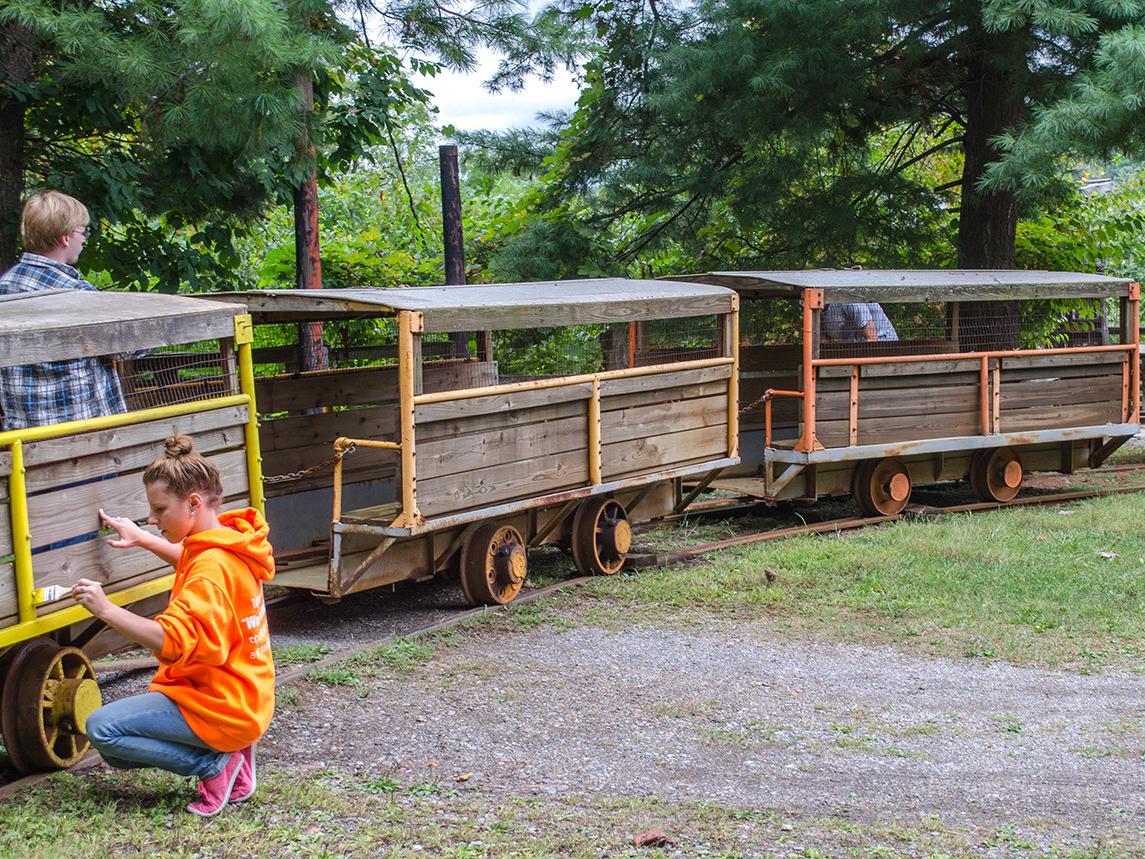 student painting mine cart