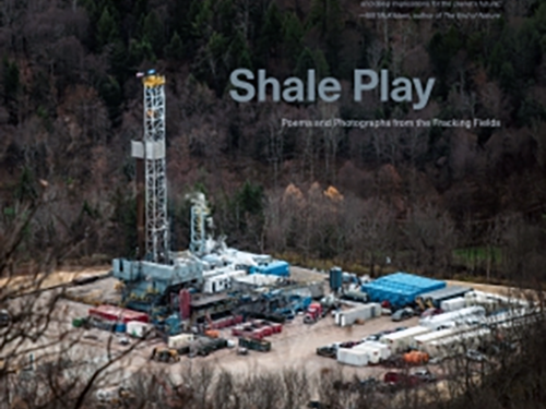 Shale Play (Rolling Reading Series)