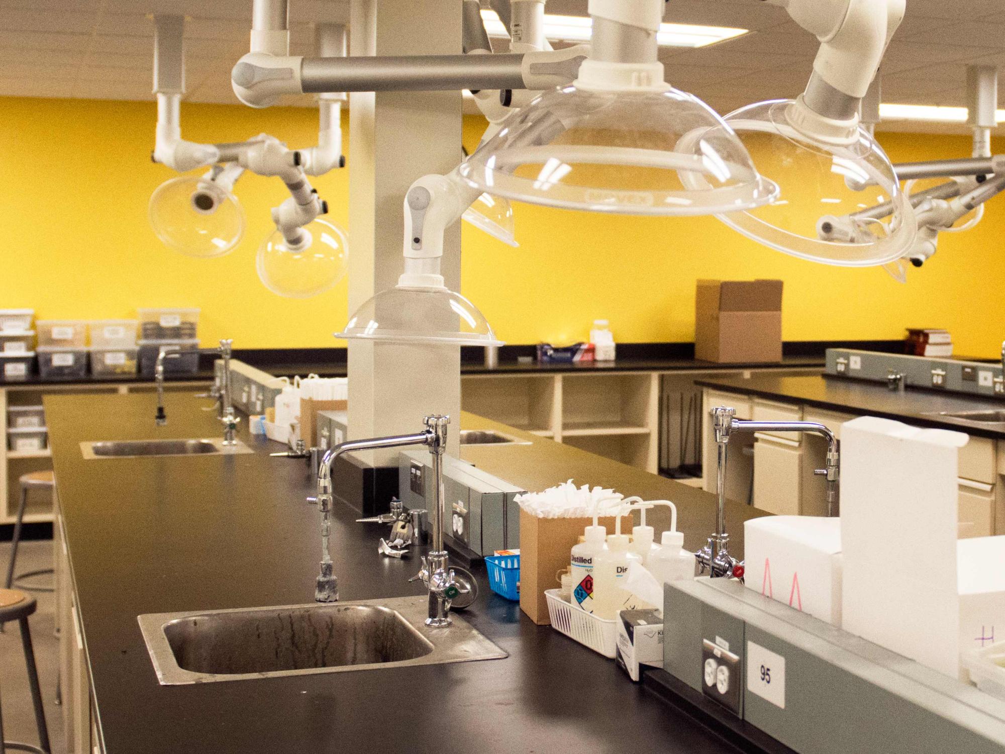 Laboratory space in Greenberg Building