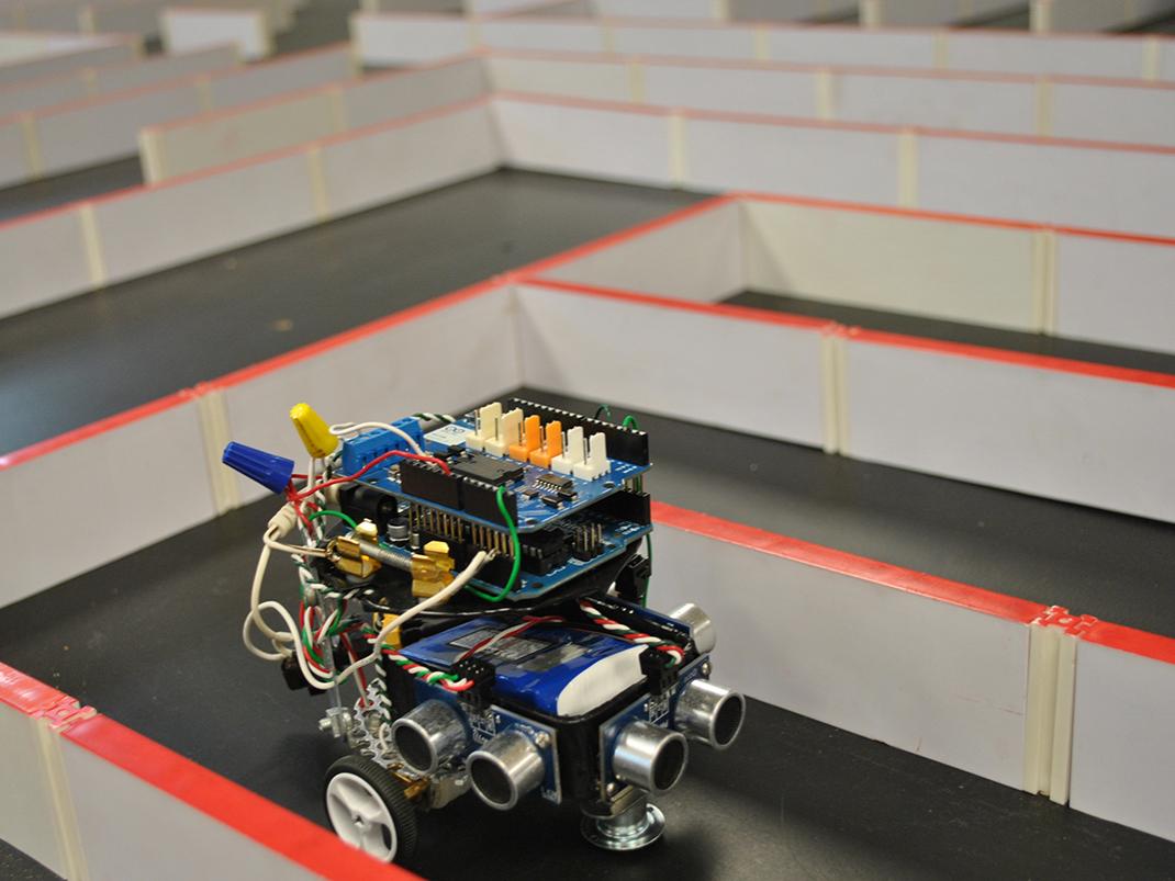 Robotic mouse