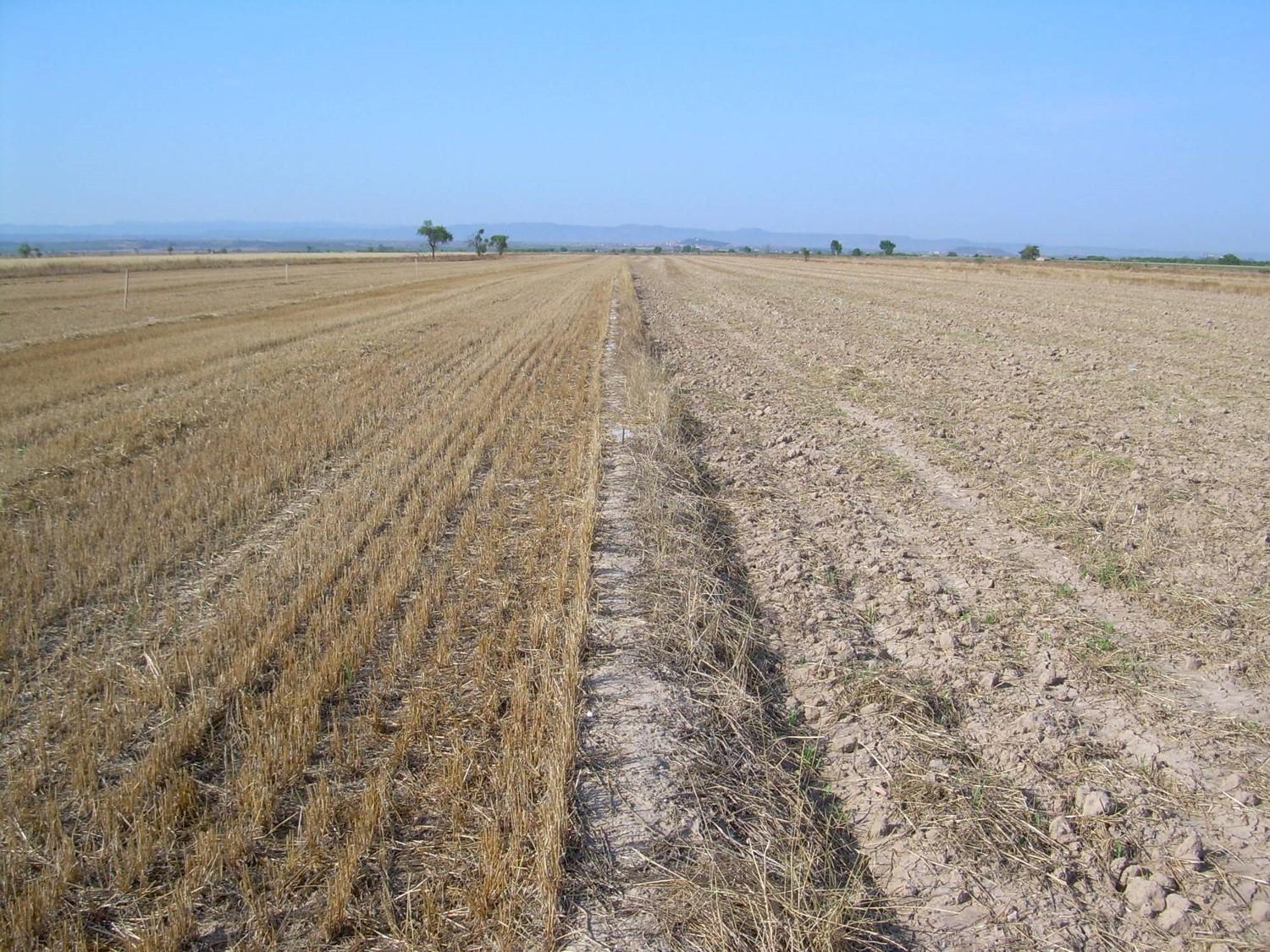 tilled and not-tilled fields