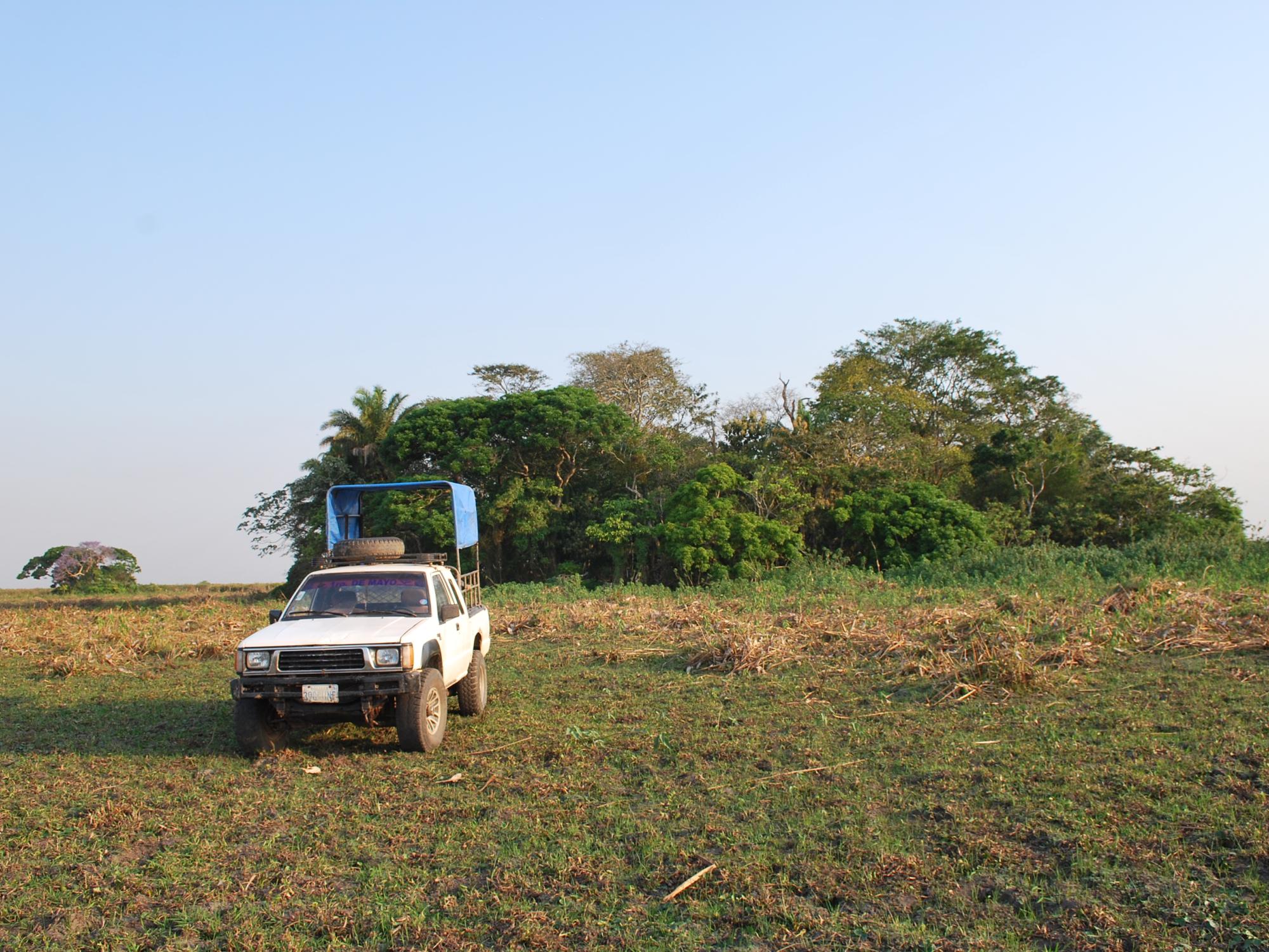 truck on grassy plain