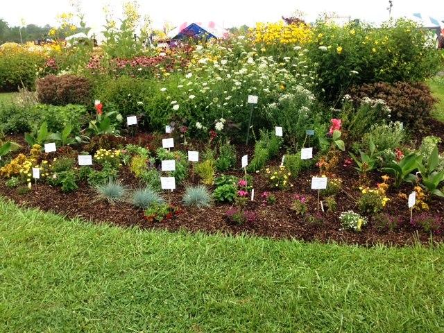 Trial Plants at Yard, Garden Area