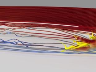 Streamlines showing the flow structure