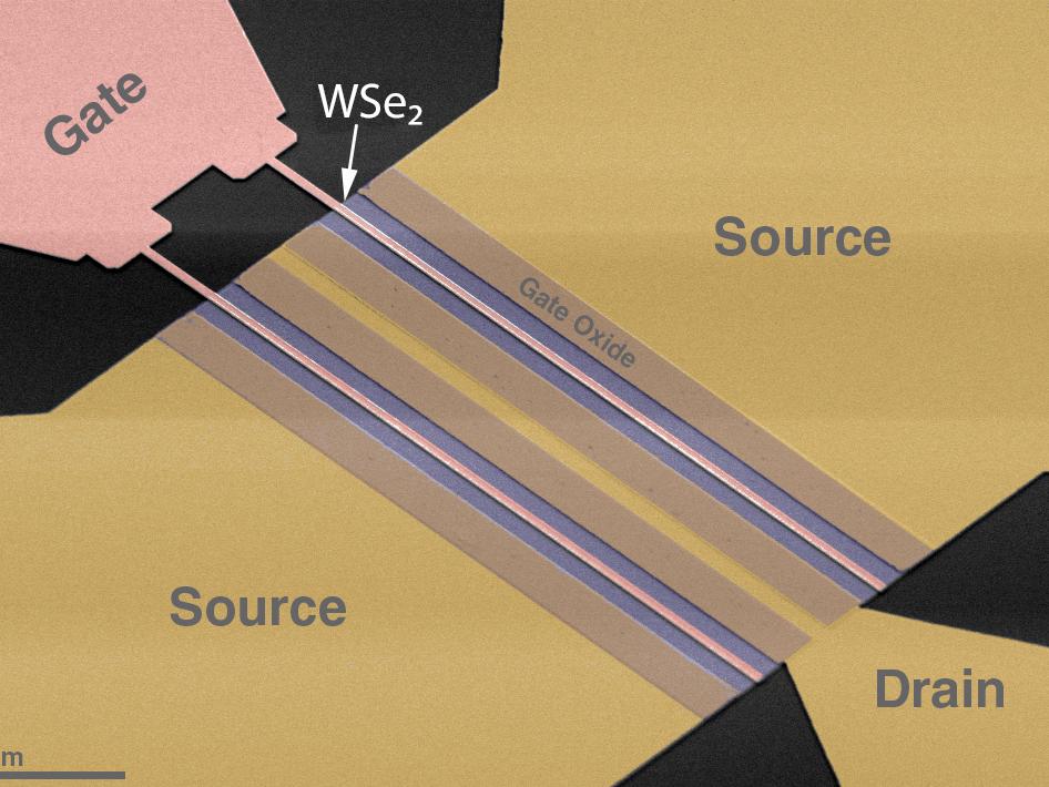 electron-microscope image