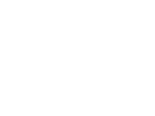 AllinReverse