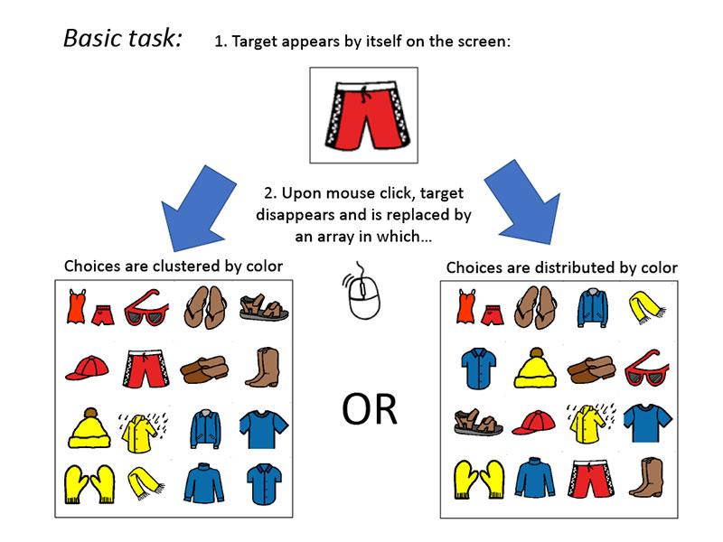 Images slide AAC