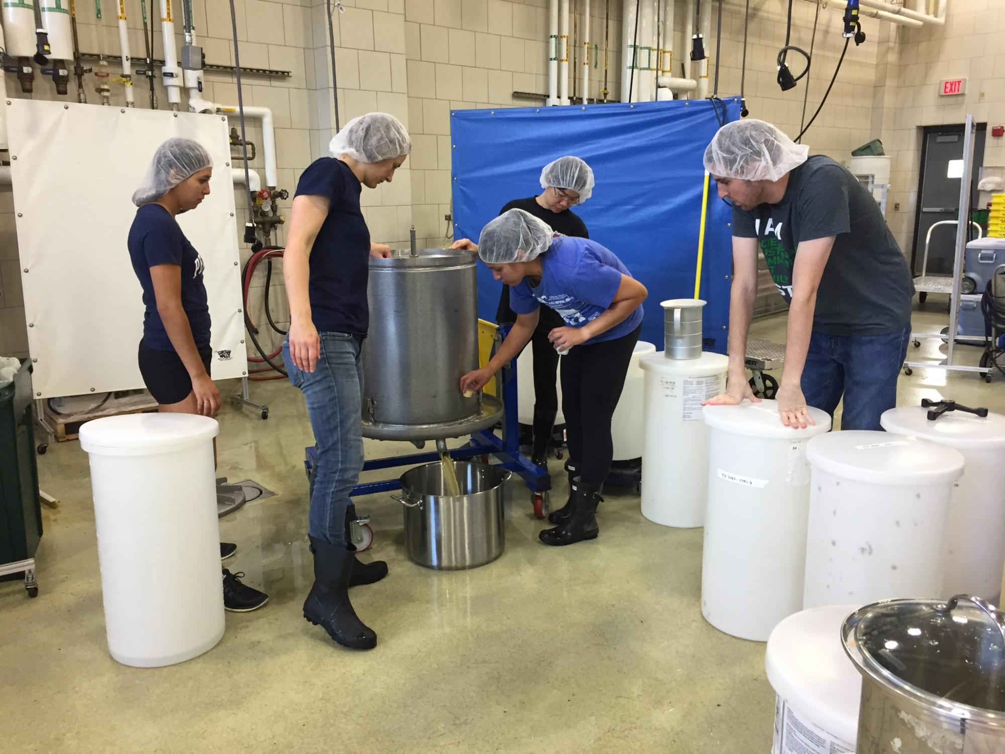 Wine Pressing